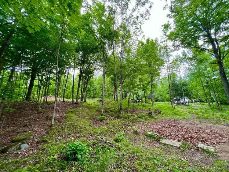 50 Acres Secluded Hunt Cabin Private Pond Algonquin Park