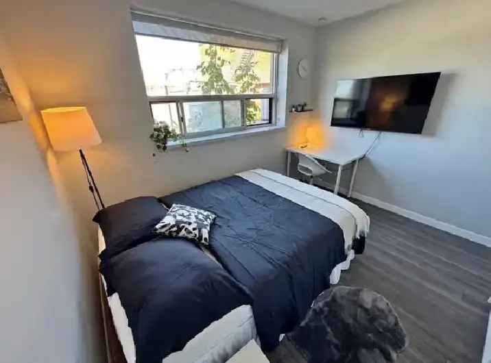 Beautiful One Bed One Bath