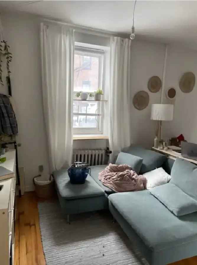 Rent Bachelor Apartment in Ottawa with Bright Windows and Amenities