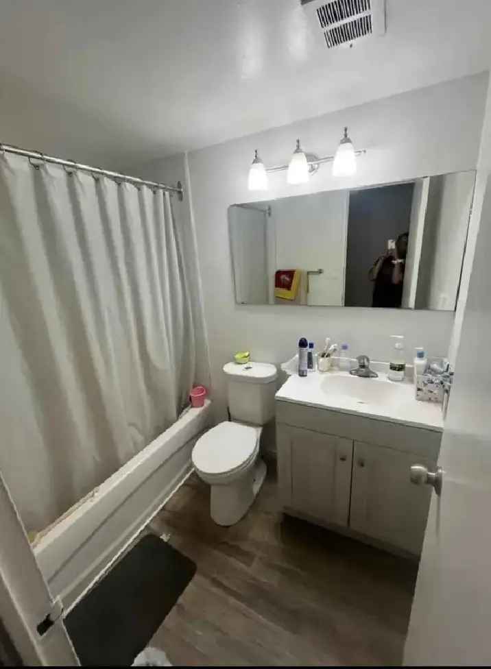 Room for Rent in Etobicoke - Pet Friendly - Shared or Private Room