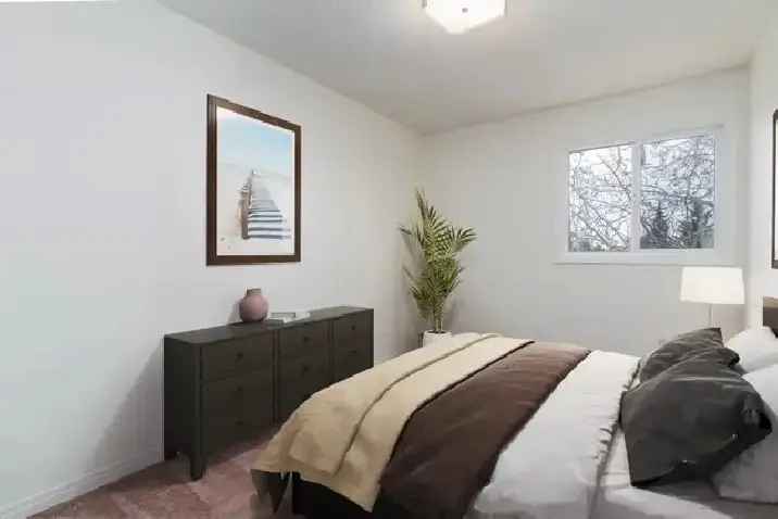 Rent 3 Bedroom Apartment in Greentree Village Edmonton with Great Features