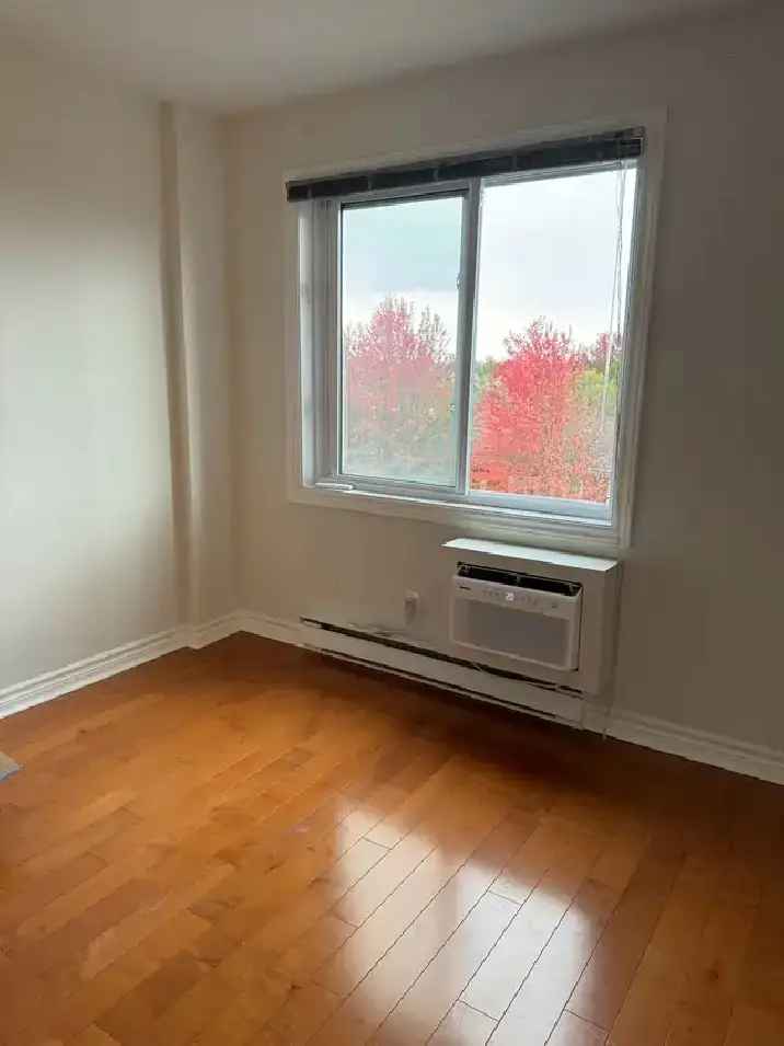 Beautiful 1 bedroom apartment near the Ottawa river