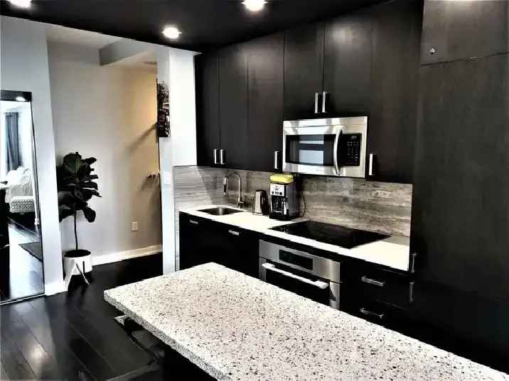 All Incl./Furnished 2 BD High-rise in Heart DT Toronto   Parking