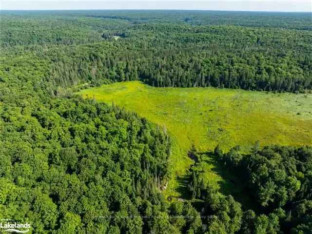 42 Acres Muskoka Lakes Property - Privacy Year Round Road Access