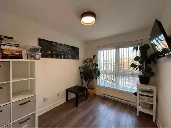 Furnished condo pet friendly