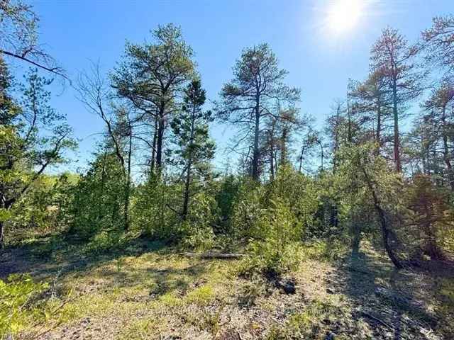 Land For Sale in Municipality of Northern Bruce Peninsula, Ontario