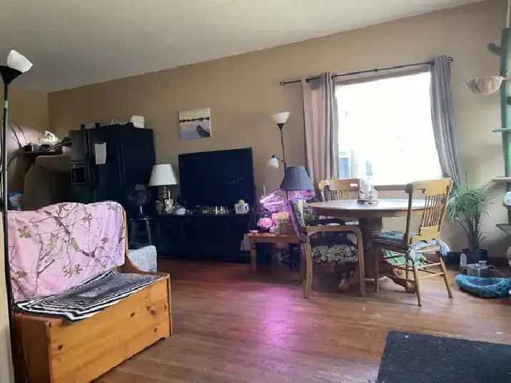 Clean Room in Shared House Drumheller AB Pet Friendly