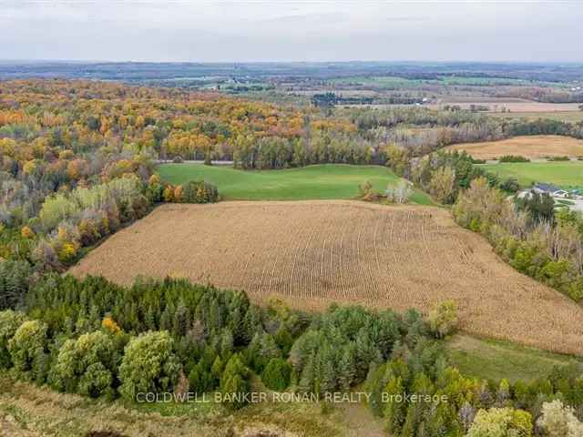 Land For Sale in Adjala–Tosorontio, Ontario