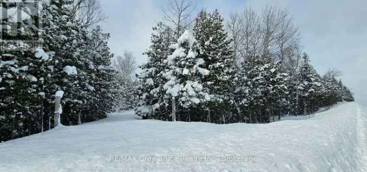 3.79 Acre Building Lot in Miller Lake with Septic and Driveway