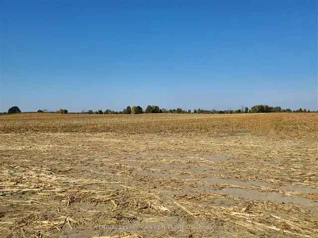 345 Acre Investment Property with Home and Barns