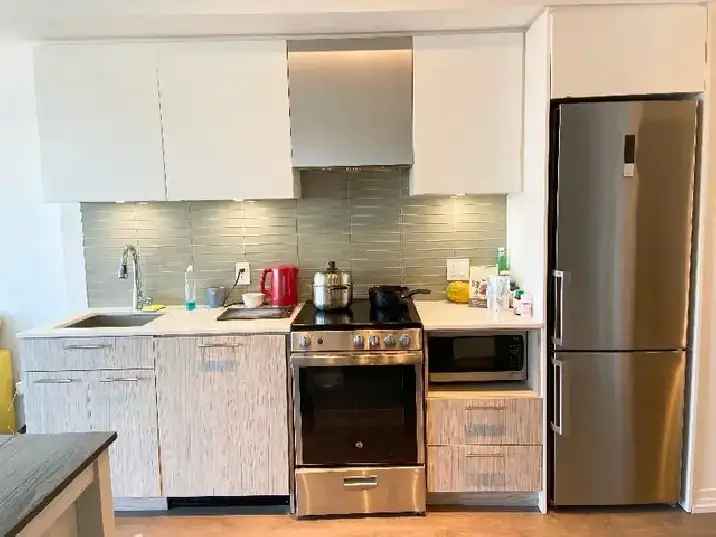 Two bedroom furnished condo in Toronto Downtown for rent