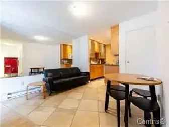 Large 3 Bedroom Condo near Downtown Montreal with Private Parking