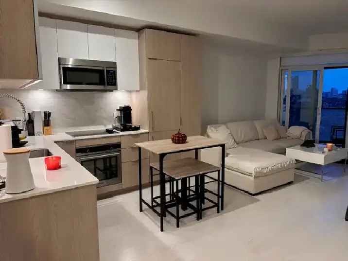 1 Bedroom 2 Bath Condo Garrison Point Liberty Village