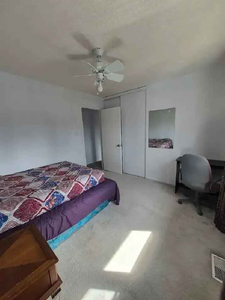 Furnished Room Near Carleton University All Inclusive