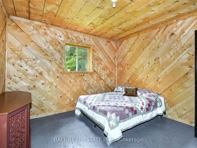 Cabin on 10 Acres with Crown Land Access