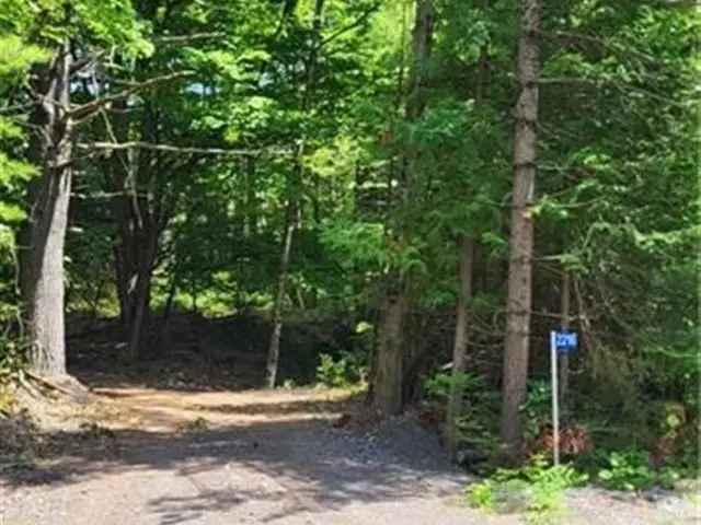 175 Acres Wooded Property Hunt Camp ATV Trails Two Ponds