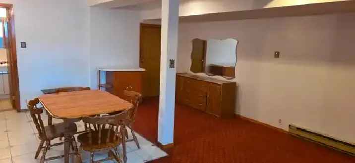 Bachelor Apartment for Rent in Nouveau-Rosemont