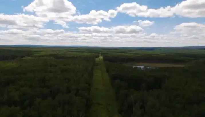 644 Acres for Sale - Hunting Land with Grazing Lease