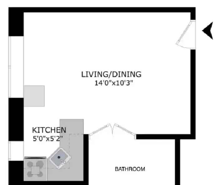 Renovated Studio Apartment Downtown Toronto