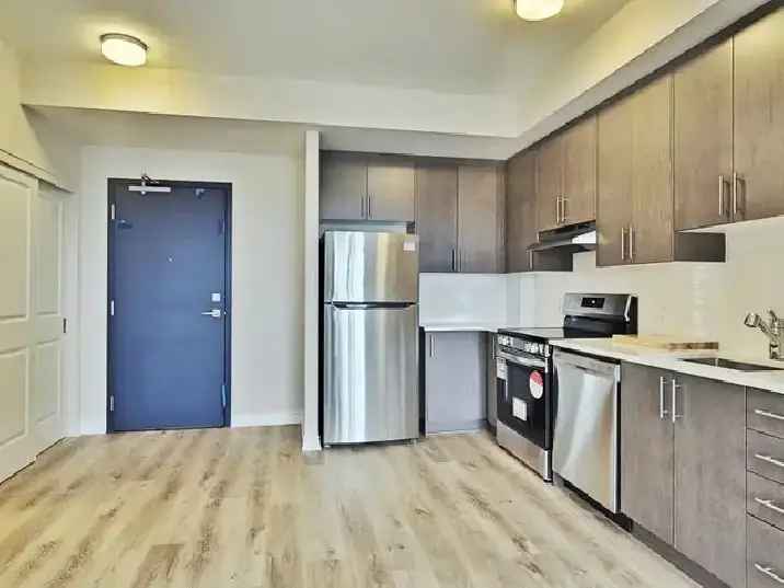 Modern 1 Bdrm Condo/With Balcony/Open Concept/ for Rent/Ottawa