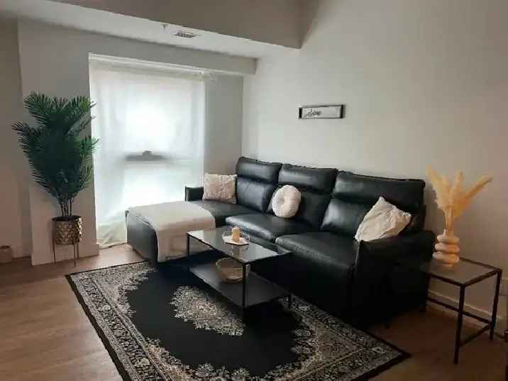 3 1/2 condo appartement - lease transfert