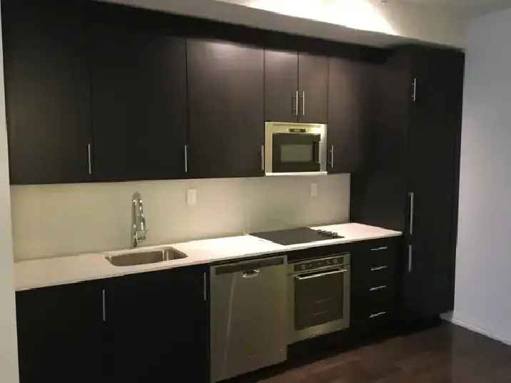 LARGE FURNISHED DOWNTOWN TORONTO ONE BEDROOM CONDO FOR RENT DEC