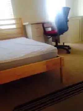 York U Village Room Rental - Queen Bed, Private Fridge, Shared Washroom