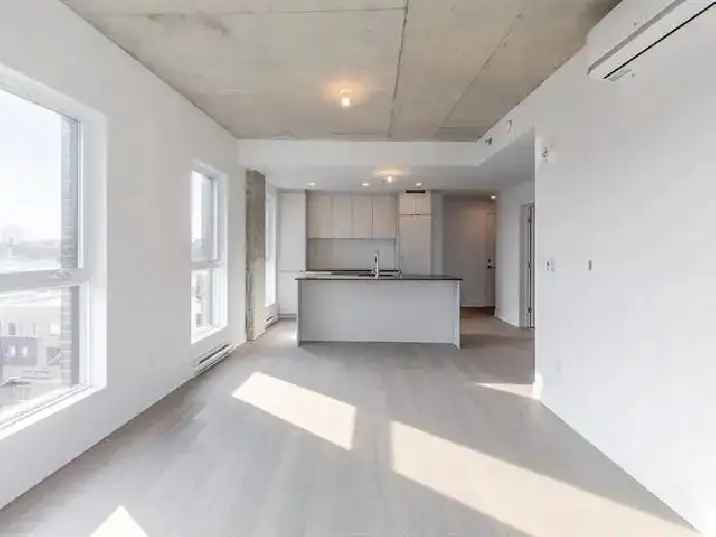 Sunny brand new Condo 3 1/2  near metro Frontenac for rent