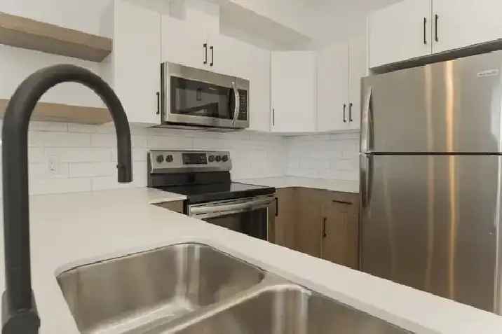 Modern 2 Bedroom Apartment for Rent Available Nov 15!