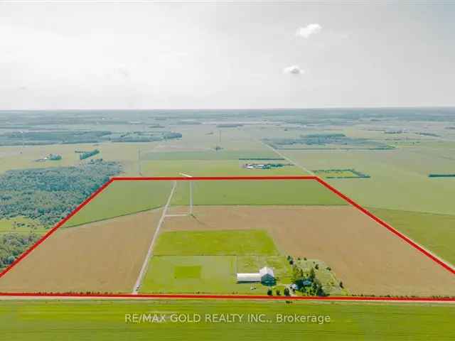 100 Acre Amaranth Farm with $80,000 Annual Income Potential