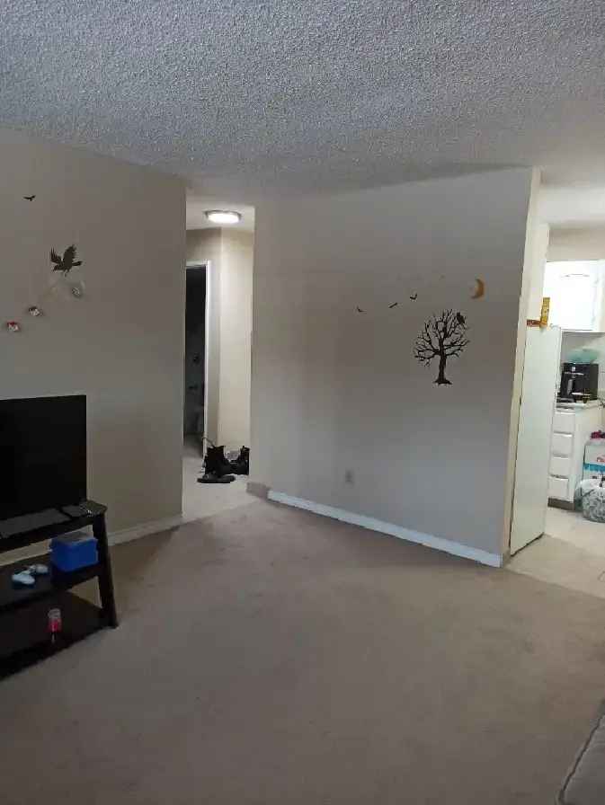 1-Bedroom Apartment for Rent at 1802 12 Ave SW, Calgary, AB