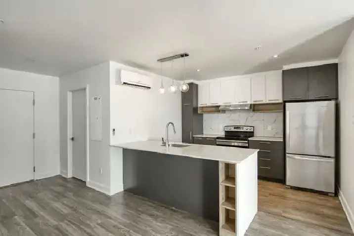 Rent fully renovated 2 bedroom apartment in Ahuntsic with modern features