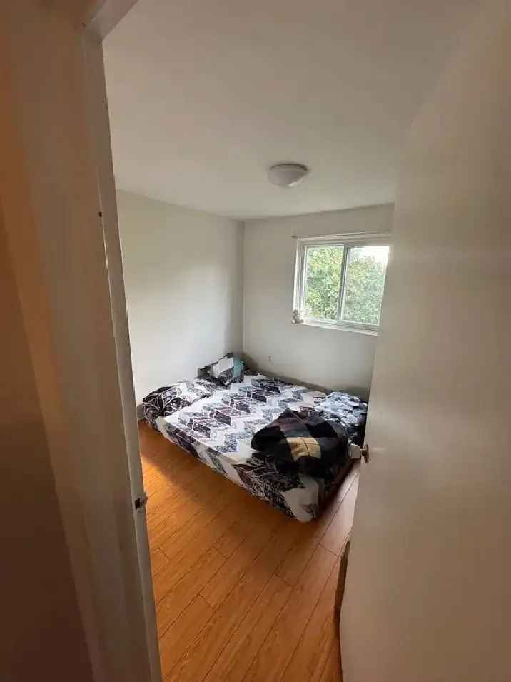 Shared Bedroom for a Female at Finch/Pharmacy