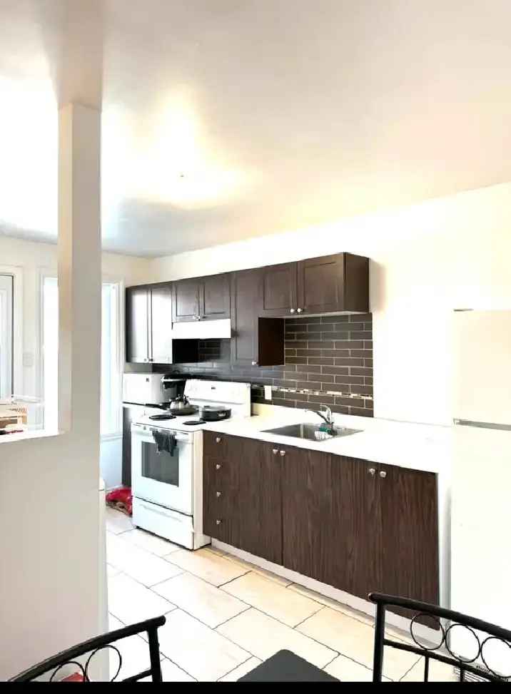 3 1/2 Renovated Apartment near Fabre Metro