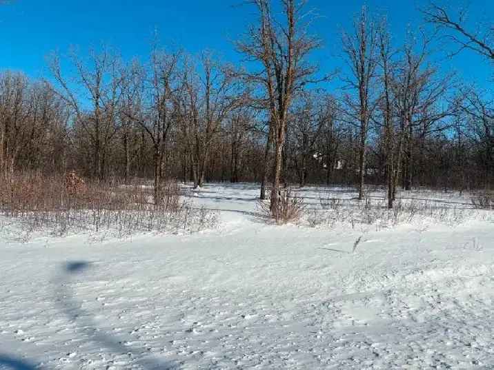 Treed 2-Acre Building Lot in Richer MB