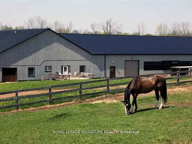 Equestrian Facility with 2 Houses and 31 Stalls