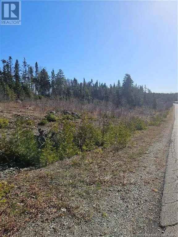 1.25 Acre Building Lot in Upscale East Saint John Community