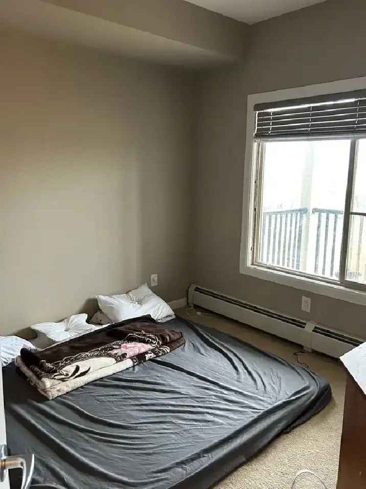 1 bedroom apartment in Windermere