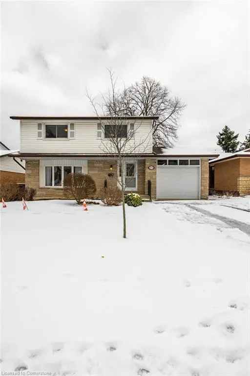 4 Bedroom 2 Bathroom Home in Hamilton Rolston