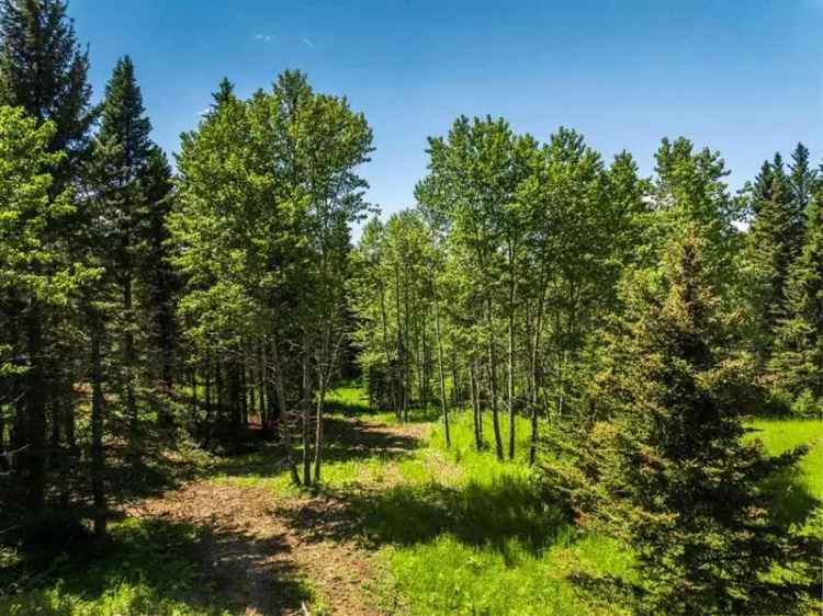 74.9 Acre Property in Water Valley AB - Agricultural & Residential Zoning