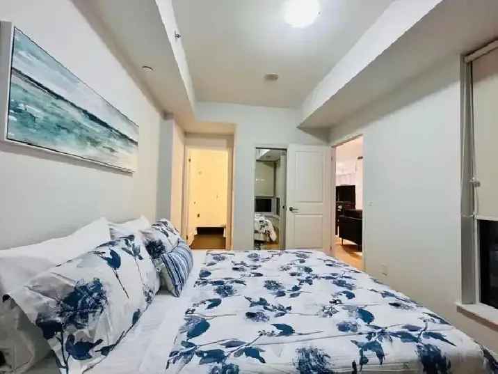 New Furnished 2BD 2BR Condo for Rent Downtown Toronto / Jan 1st