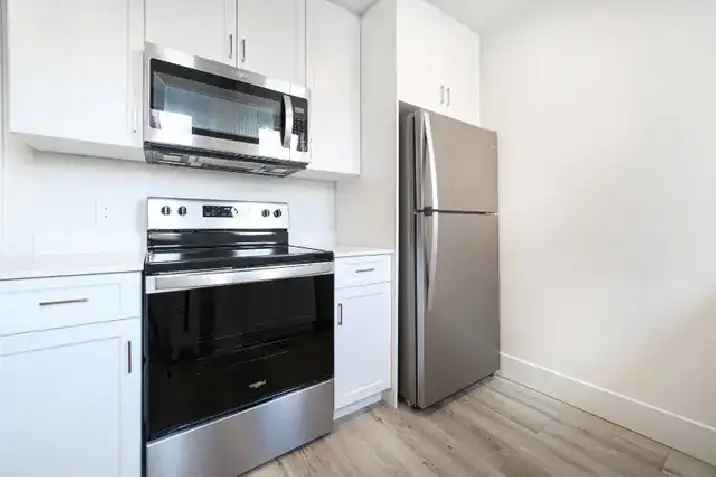 Newly Renovated 1 Bedroom Apartment in West Broadway for Rent!