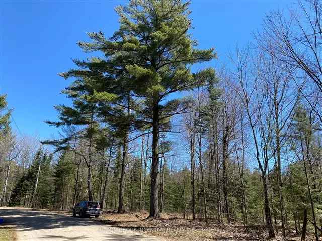 3.76-Acre Buildable Lot Near Huntsville Trails and Lakes