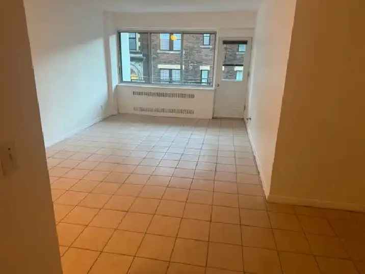 Large Studio (size 2 1/2) for rent downtown near Guy Concordia