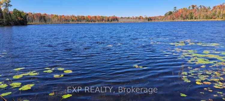 House For Sale in Marmora and Lake, Ontario