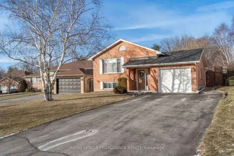 5 Bedroom Family Home near 8 Wing Trenton