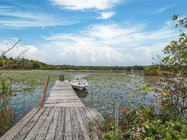 5-Acre Waterfront Family Home on Dog Lake - 5+ Bedrooms, Pool, and More