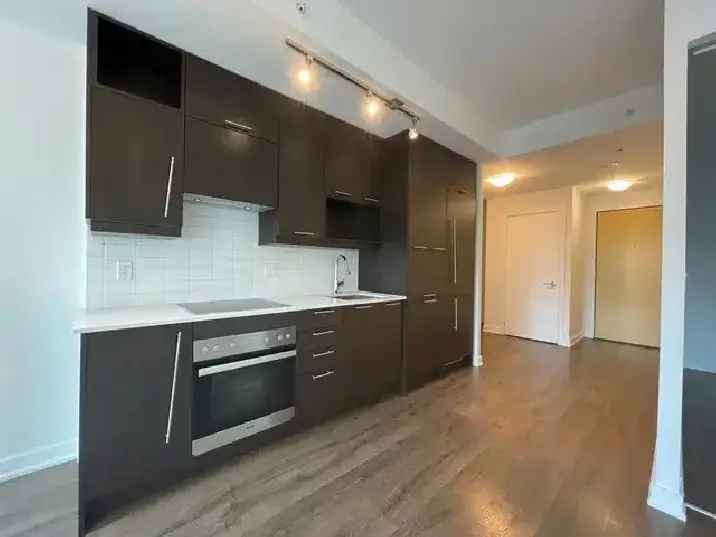 1 Bedroom Den Condo For Rent Downtown Toronto with PARKING