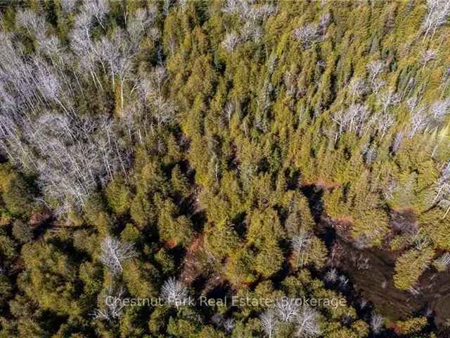 Bruce Peninsula 5-Acre Wooded Lot - Build Your Dream Home