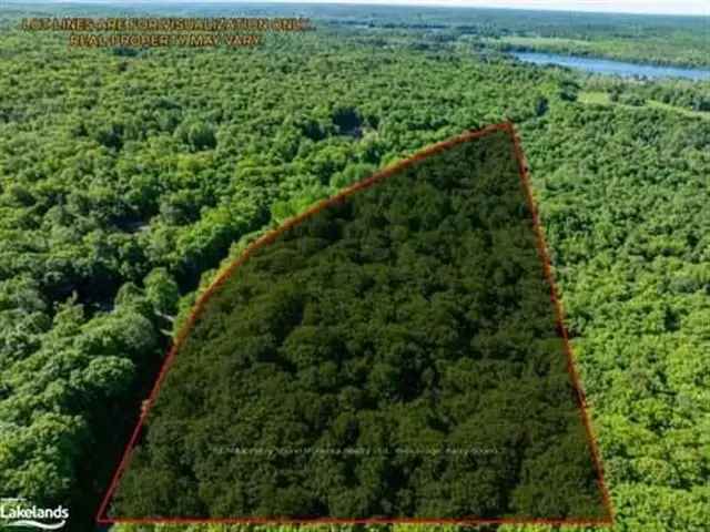 10 Acre Building Lot in Seguin Township